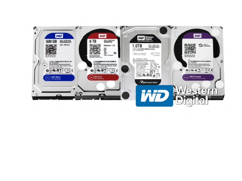 Hard disk e dischi elettronici super veloci: tanti colori con Western Digital (WD) 