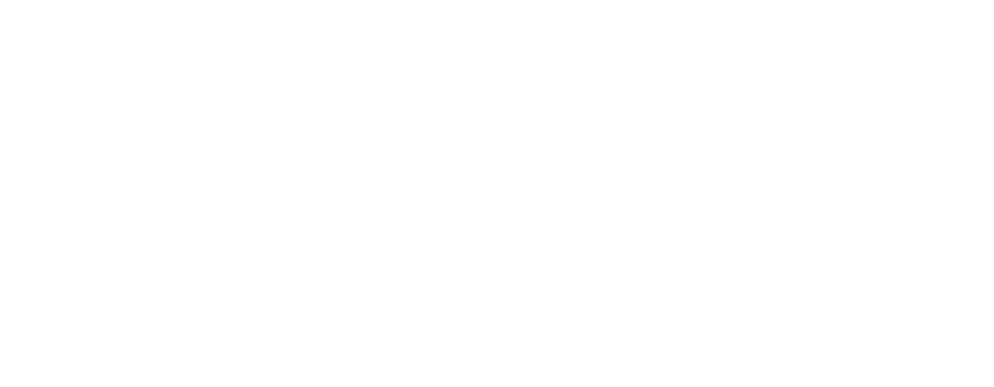 Logo-Nethesis-partner-certificato-bianco